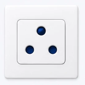 Type D socket